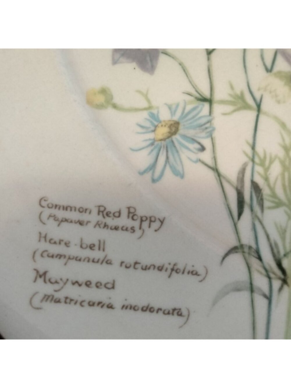 Noritake of Ireland Country Diary of An Edwardian - Picture 3 of 14